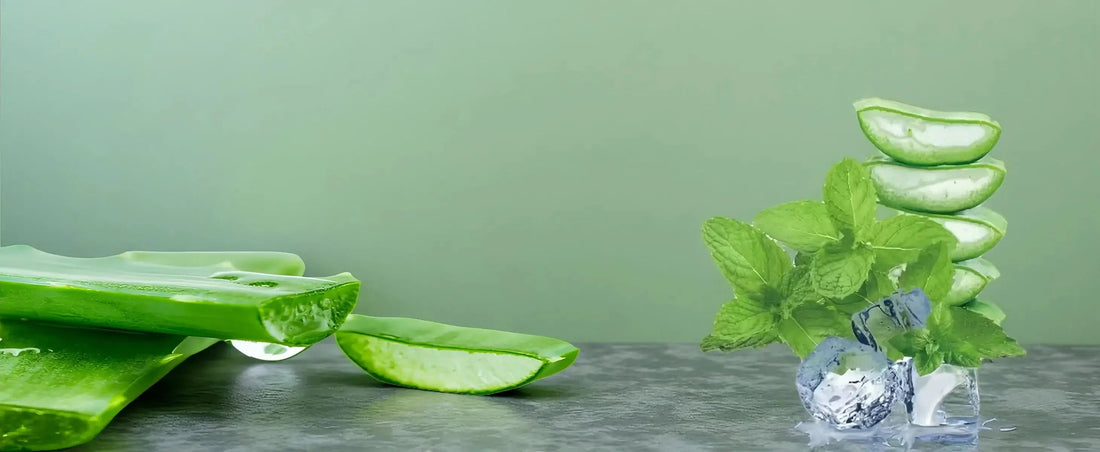 Wat doet aloë vera gel met je huid?